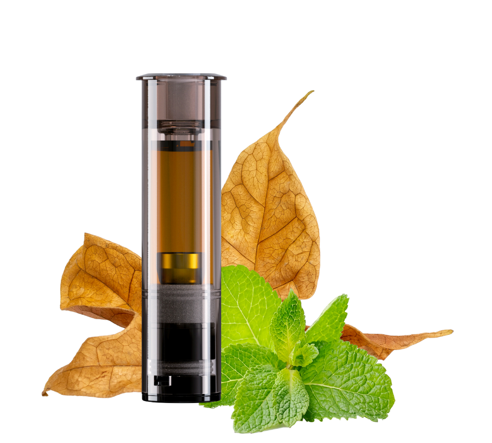 Mint Tobacco